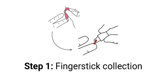 Step 1: Fingerstick collection illustration